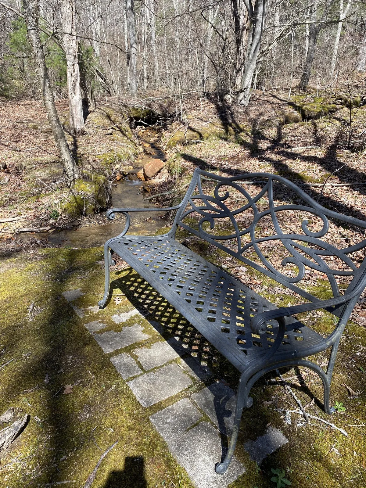 An ornate metal bench sits beside a meandering stream under the shade of tall trees, with a mossy, peaceful ground all around. The spot invites moments of meditation, wildlife watching, and a quiet connection to nature.